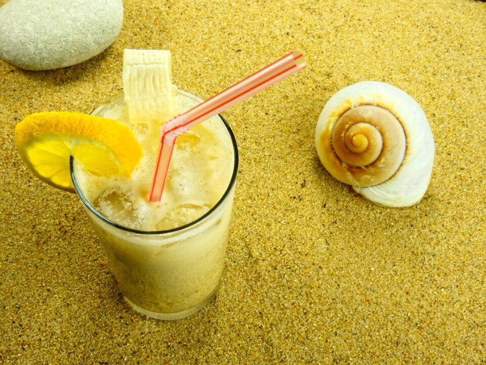 Nature summer background