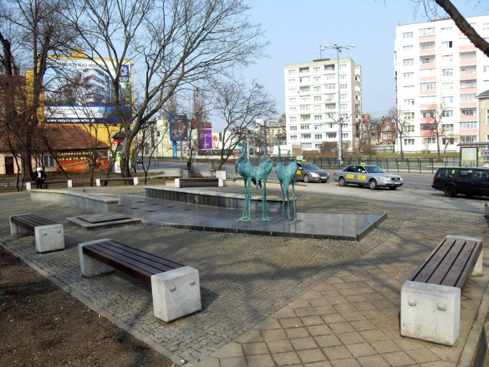 Gdańsk Wrzeszcz i Ptaki Wodne