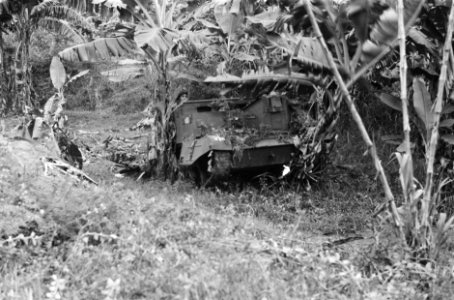 Gecamoufleerde universal-carrier (bren-carrier), Bestanddeelnr 251-4-1
