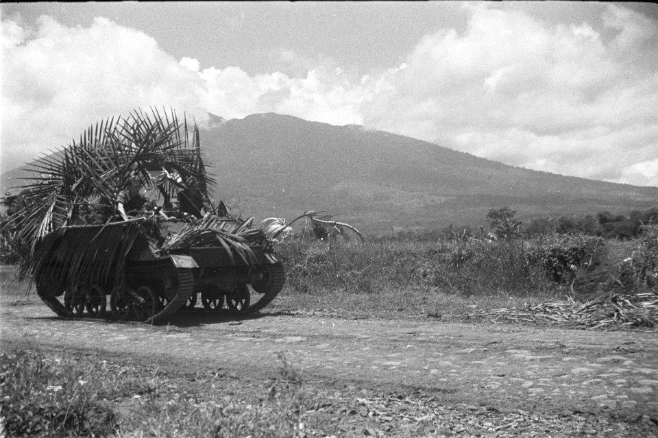 Gecamoufleerde tank, Bestanddeelnr 159-4-4