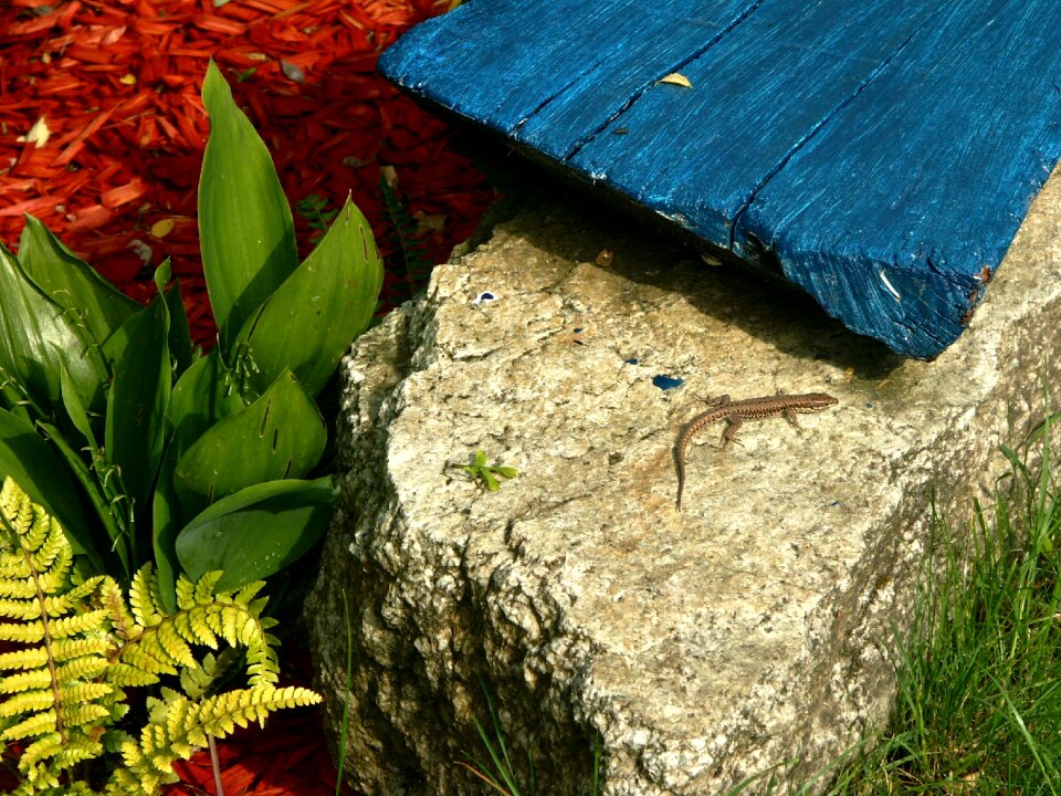 Nature shape creative