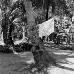 Geïmproviseerde vlag in Nickerie, Bestanddeelnr 252-4685