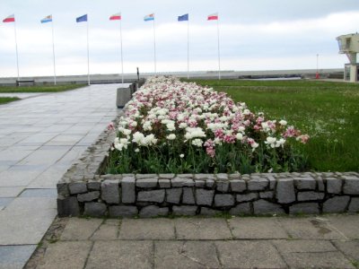 GDYNIA, AB. 071