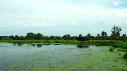 Gdańsk Olszynka Wielka i Opływ Motławy