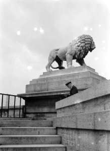 Gebeeldhouwde leeuwen op de Place de la Concorde, Bestanddeelnr 191-0344