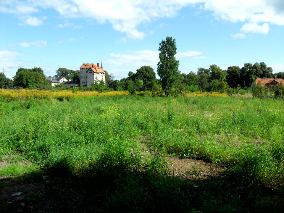 Gdańsk Oliwa – zaplecze ulicy Grunwaldzkiej