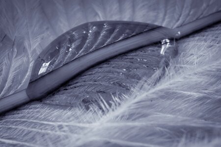 Close up macro background