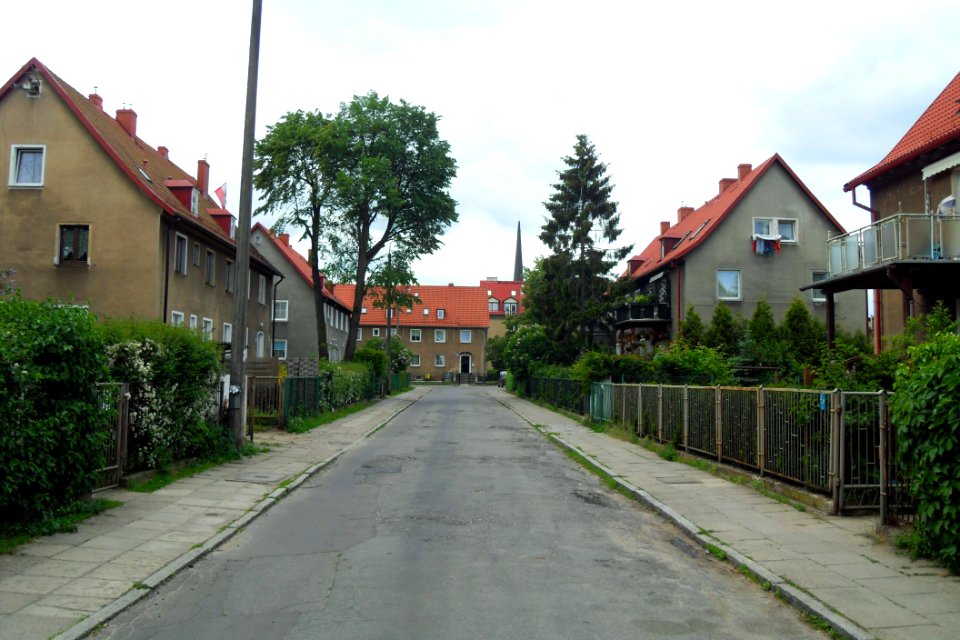 Gdańsk Oliwa ulica Grottgera