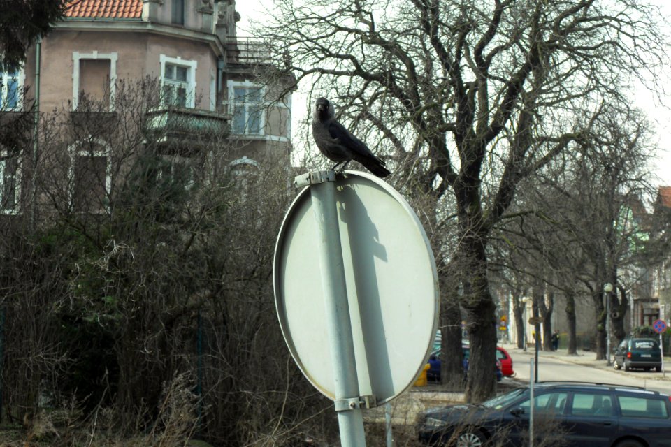 Gdańsk Oliwa Plac dworcowy (1)
