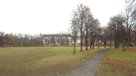 Gdańsk Oliwa (15)