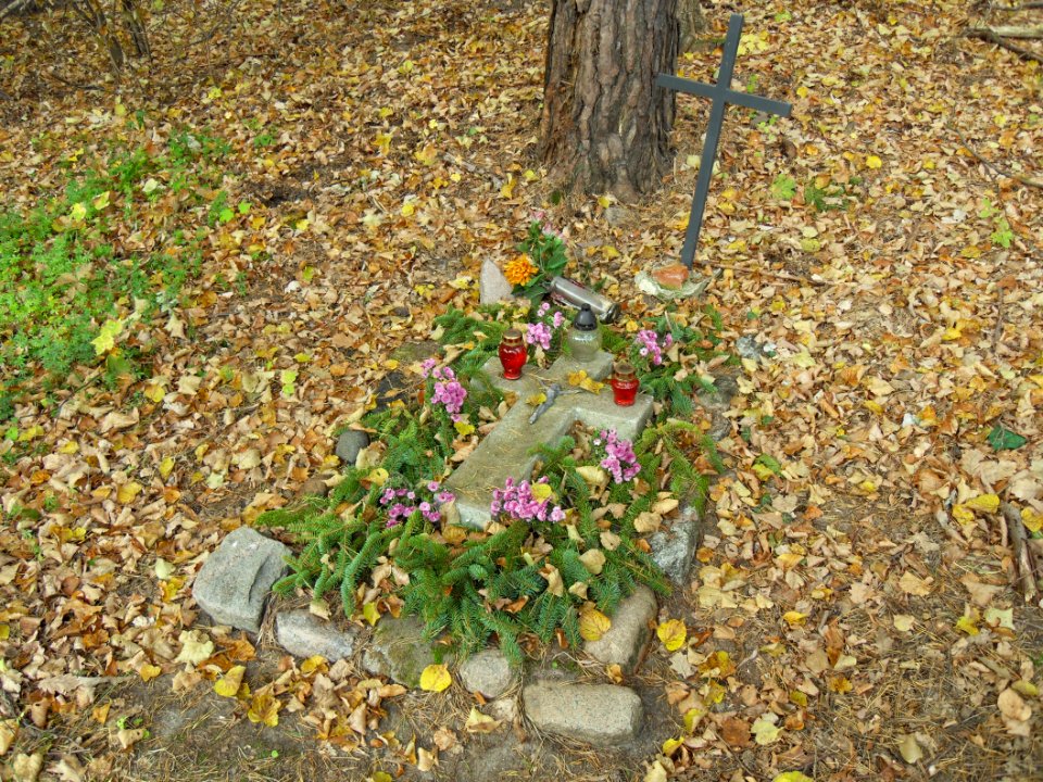 Gdańsk Oliwa Trójmiejski Park Krajobrazowy (1)