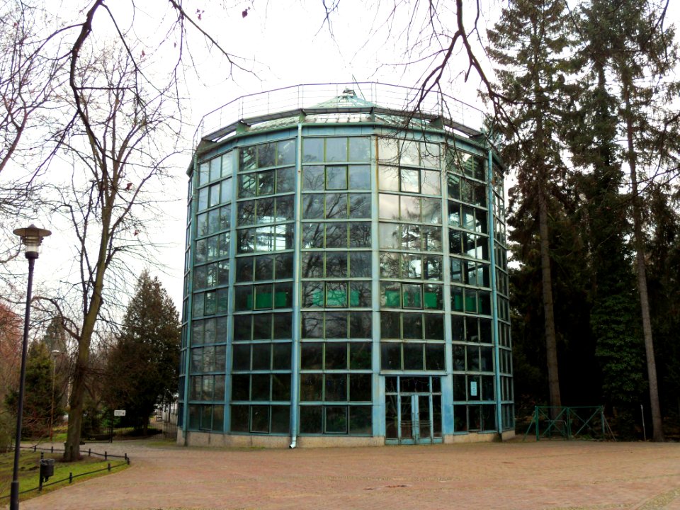 Gdańsk Oliwa palmiarnia
