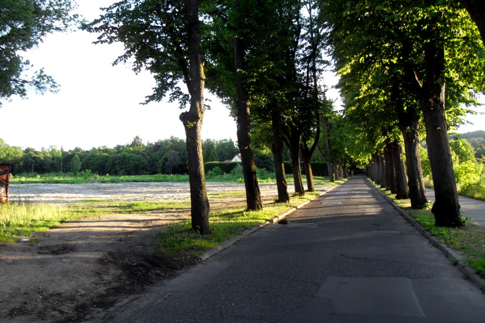 Gdańsk Oliwa ulica Opacka