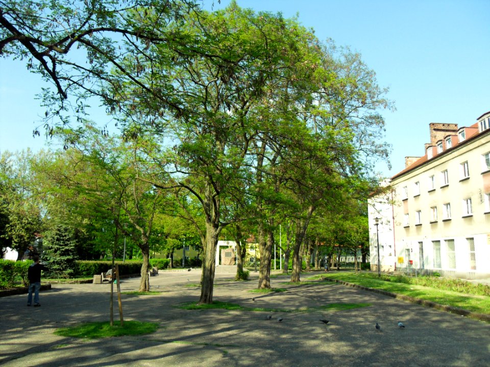 Gdańsk plac Stanisława Maczka