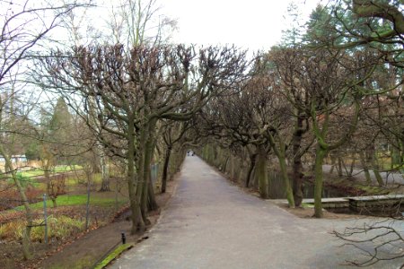 Gdańsk Oliwa park jesień