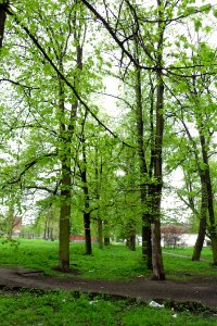 Gdańsk Orunia Park Schopenhauera