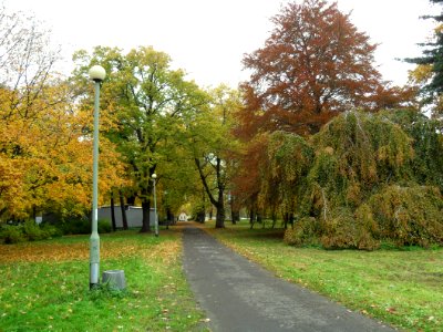 Gdańsk Park Steffensa (4)
