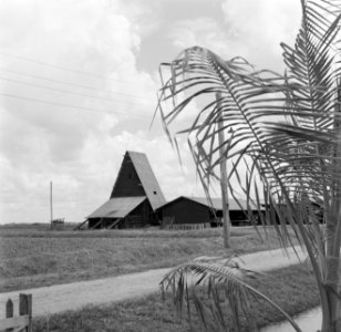 Gebouw in de Prins Bernhardpolder, Bestanddeelnr 252-4680