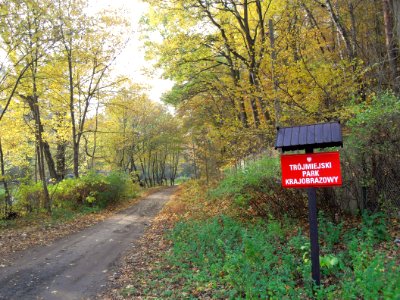 Gdańsk Oliwa Trójmiejski Park Krajobrazowy