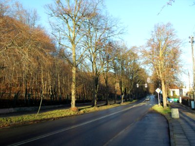 Gdańsk Oliwa ulica Polanki