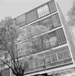 Gebouw met een boom ervoor, Bestanddeelnr 255-1707
