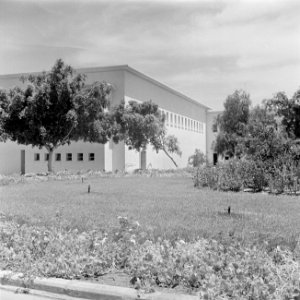 Gebouw van het Weizmann institute of science te Rehovot (Rechowoth) met bomen, Bestanddeelnr 255-1592