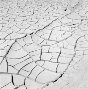 Gebarste aarde bij de Dode Zee, Bestanddeelnr 255-2708