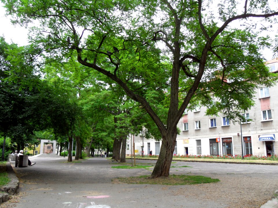 Gdańsk plac Maczka