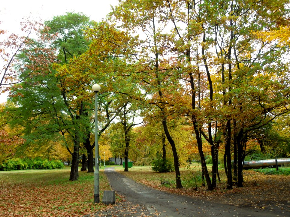 Gdańsk Park Steffensa (3)