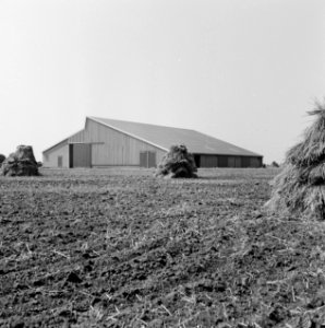 Gebouwen, stallen, schuren, aalsmeerderweg, Bestanddeelnr 250-8226