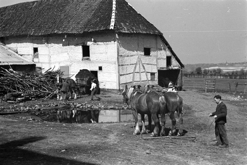 Gebouwen, schuren, stallen, paarden, mannen, Bestanddeelnr 170-1086