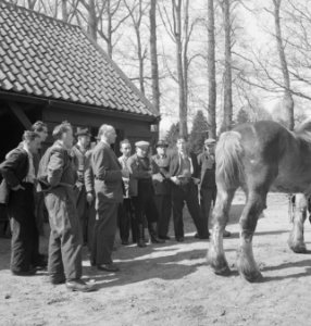 Gebouwen, boerderijen, mannen, dieren, paarden, Bestanddeelnr 251-9294