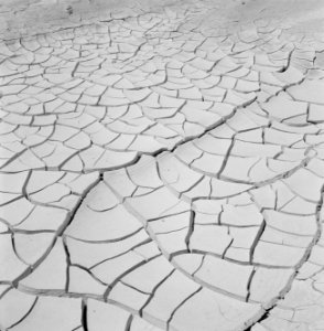 Gebarste aarde aan de Dode Zee, Bestanddeelnr 255-2709