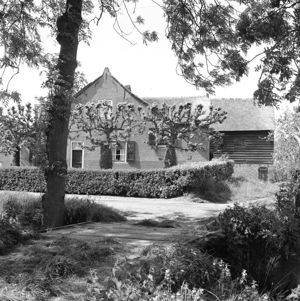 Gebouwen, boerderijen, Groot Ammers, Bestanddeelnr 163-0270