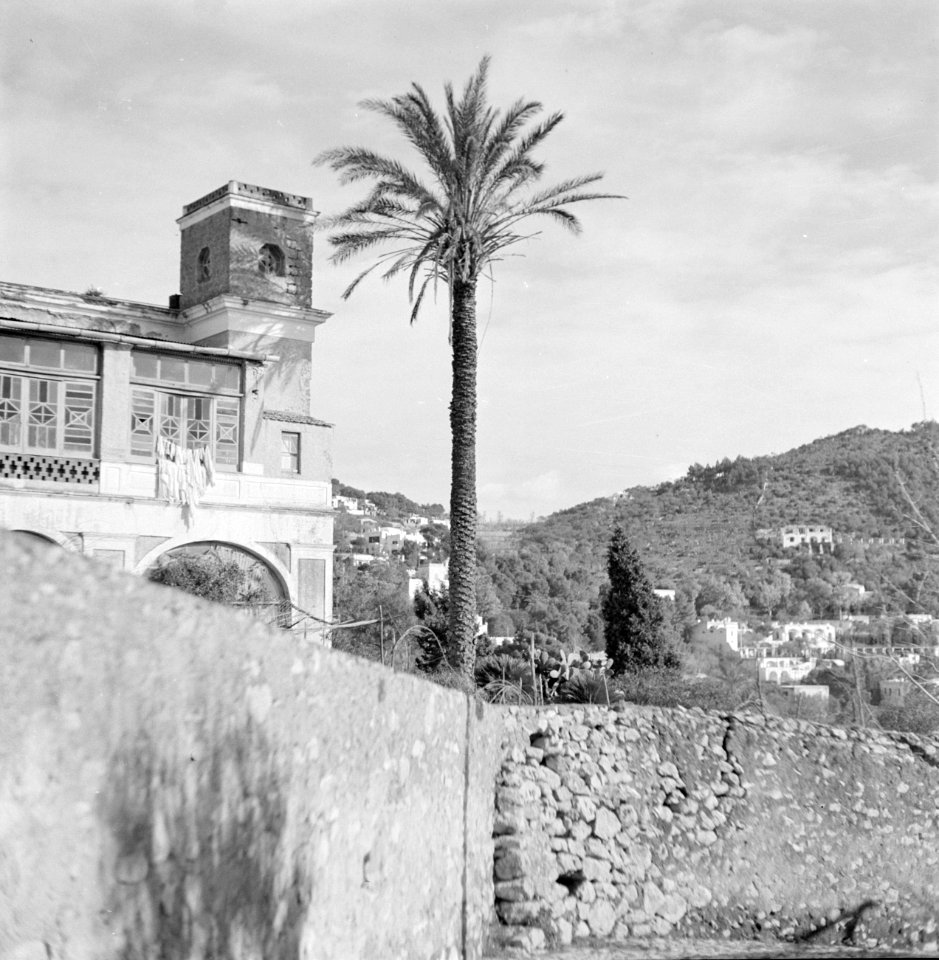 Gebouw met toren in Anacapri, ernaast een palmboom, Bestanddeelnr 252-0060
