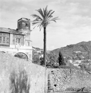 Gebouw met toren in Anacapri, ernaast een palmboom, Bestanddeelnr 252-0060