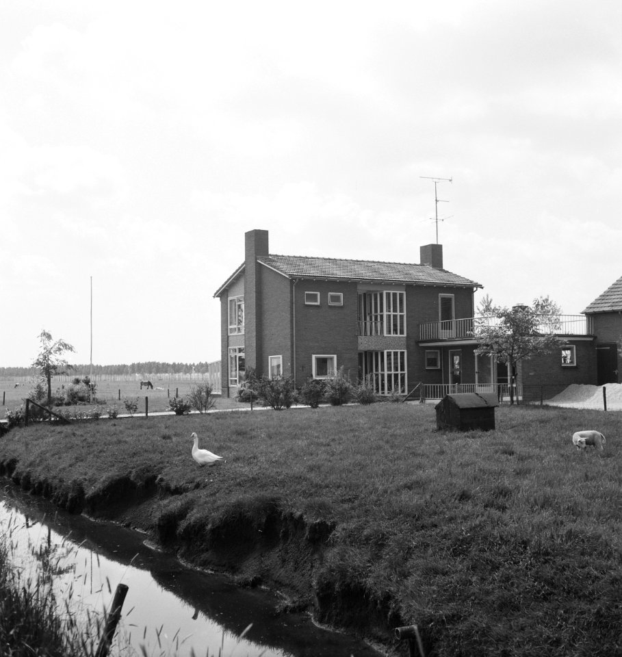 Gebouwen, boerderijen, exterieur, sloten, dieren, ganzen, Bestanddeelnr 253-6213