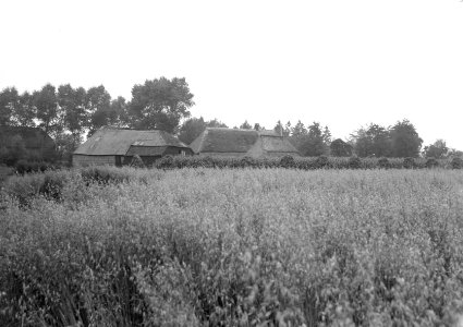 Gebouwen, boerderijen, Esch, Bestanddeelnr 192-1262
