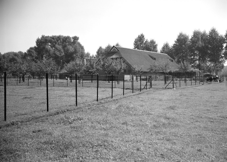 Gebouwen, boerderijen, nieuw bergen, Bestanddeelnr 192-1260