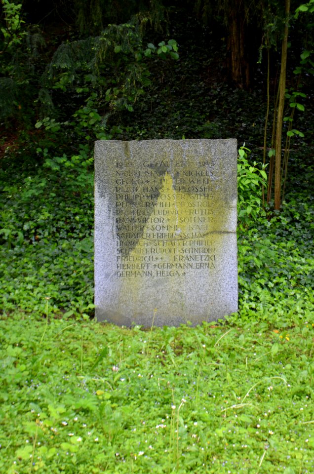 Gefallenendenkmal Alsbach, Stein 6