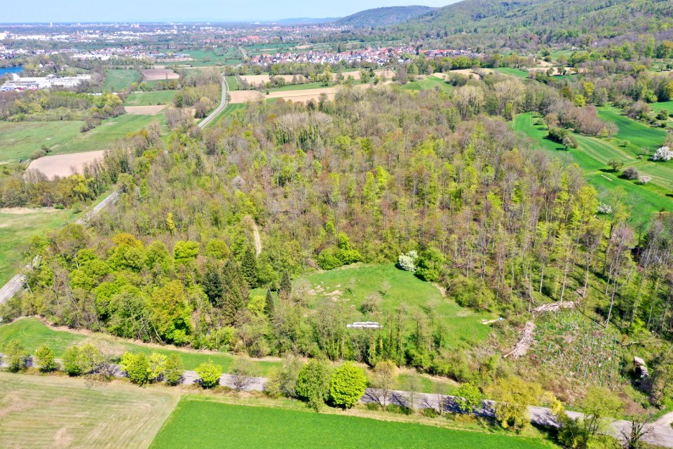 Gefällwald