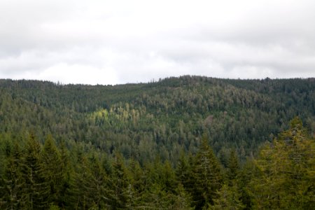 Gefällterkopf from north west 2020-03-11 01