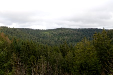 Gefällterkopf from north west 2020-03-11 04