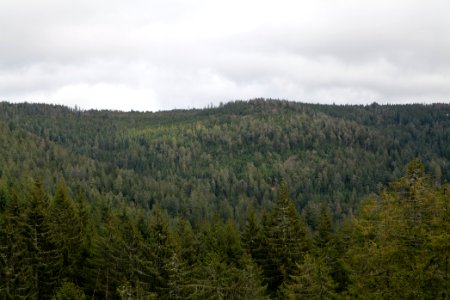 Gefällterkopf from north west 2020-03-11 05