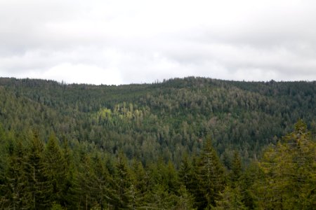 Gefällterkopf from north west 2020-03-11 02