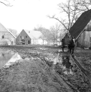 Gebouwen, boerderijen, paard-en-wagen, boeren, erven, bloemen, Bestanddeelnr 163-0236