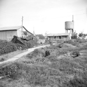 Gebouwen en de watertoren van kibboets Negbah die tijdens de Arabisch-Israëlisch, Bestanddeelnr 255-0741