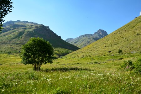 Landscapes nature sky grass