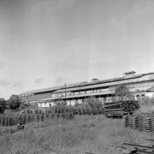 Gebouwen op de plantage Mariënburg in het Commewijnegebid in Suriname, Bestanddeelnr 252-6517