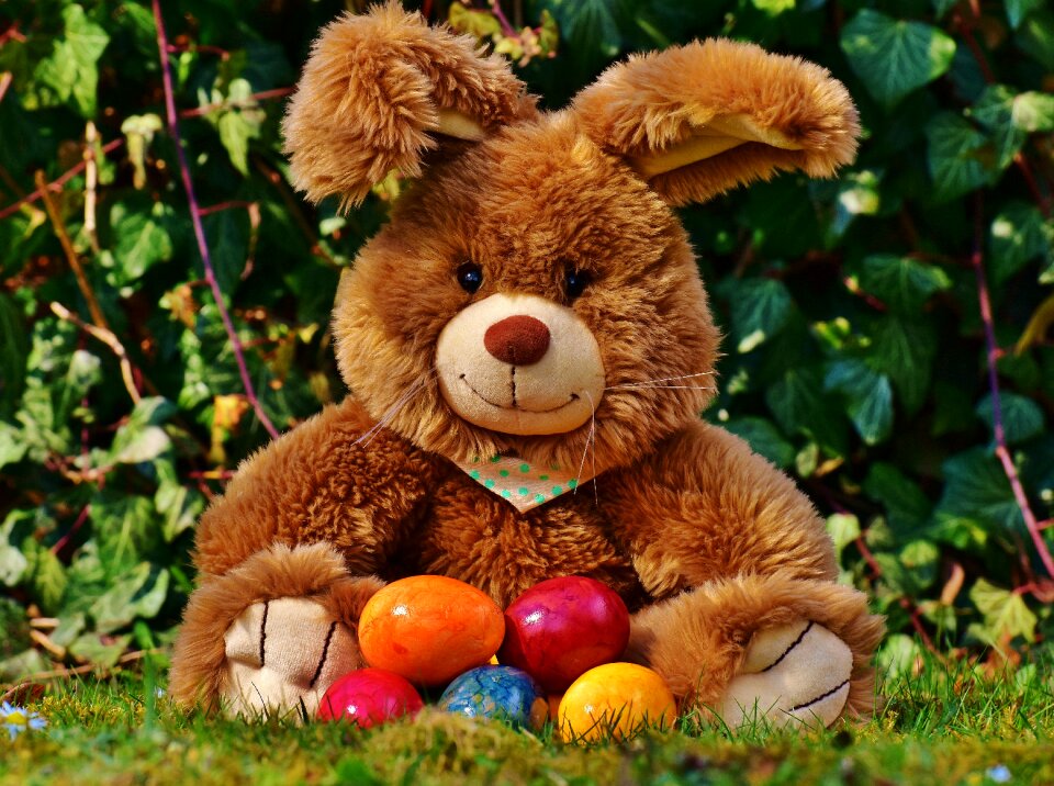 Colorful spring easter greeting